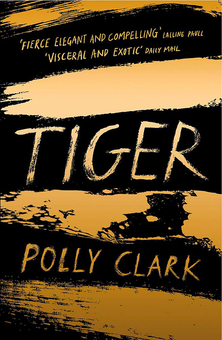 Паперова книга «Tiger», автор Поллі Кларк - фото №1 - мініатюра