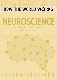Паперова «How the World Works: Neuroscience : Unlocking the mysteries of the brain and consciousness», автора Енн Руні– фото №1