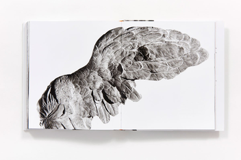 Бумажная книга «Classic Greek Masterpieces of Sculpture» - фото №6 - миниатюра