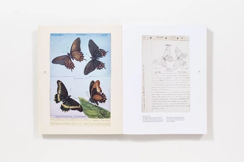 Бумажная книга «The Butterflies of North America: Titian Peale's Lost Manuscript» - фото №6 - миниатюра
