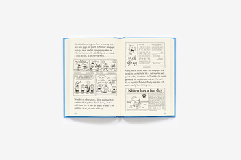 Бумажная книга «Diary of a Wimpy Kid: Cabin Fever (Book 6)», автор Джефф Кинни - фото №8 - миниатюра