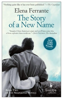 Бумажная книга «The Neapolitan Novels Boxed Set (set of 4 books)», автор Элена Ферранте - фото №4 - миниатюра