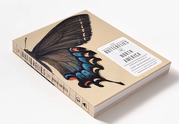 Бумажная книга «The Butterflies of North America: Titian Peale's Lost Manuscript» - фото №9 - миниатюра