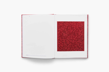 Паперова книга «Anni Albers», авторів Анні Альберс, Бренда Даніловіц, Таі Сміт - фото №6 - мініатюра