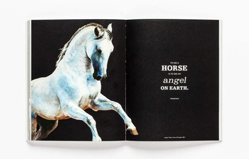 Бумажная книга «The Book of the Horse», авторов Ангус Хайленд, Кэролайн Робертс - фото №4 - миниатюра