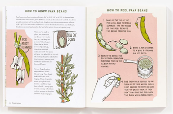 Бумажная книга «Homegrown. Illustrated Bites from Your Garden to Your Table», автор Хизер Хэрдисон - фото №4 - миниатюра