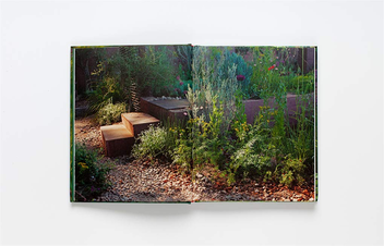Паперова книга «Wild about Weeds. Garden Design with Rebel Plants», автор Джек Воллінгтон - фото №8 - мініатюра