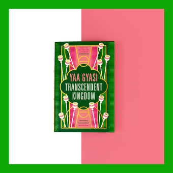Паперова книга «Transcendent Kingdom», автор Йаа Гьясі - фото №2 - мініатюра
