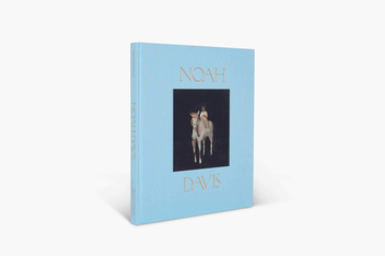 Паперова книга «Noah Davis», авторів Ноа Девіс, Хелен Молсворт - фото №2 - мініатюра