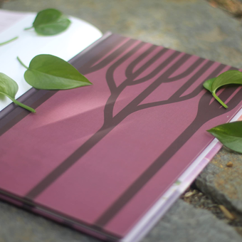 Паперова книга «Survivor Tree», авторів Марсі Коллін, Аарон Беккер - фото №3 - мініатюра