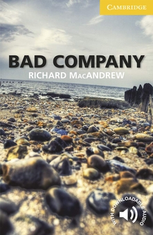 Бумажная книга «Bad Company. Level 2», автор Ричард МакЭндрю - фото №1 - миниатюра