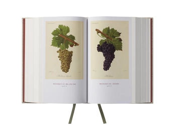 Бумажная книга «Wine Grapes. A complete guide to 1,368 vine varieties, including their origins and flavours», авторов Джулия Хардинг, Янсис Робинсон, Хосе Вуйамоз - фото №9 - миниатюра