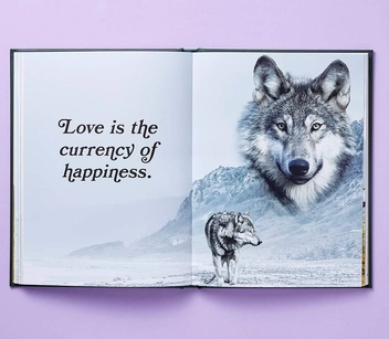 Бумажная книга «Wild Masterpieces: A Collection of Inspiring Animal and Pet Portraits», автор Эван Дуглас - фото №3 - миниатюра