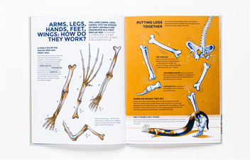 Бумажная книга «Who Owns These Bones?», автор Анри Кэп - фото №7 - миниатюра