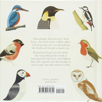 Бумажная книга «Little Guide to Birds», автор Элисон Дэвис - фото №2 - миниатюра