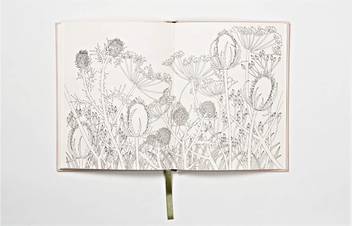 Бумажная книга «The Flower Year.  A Colouring Book», автор Лейла Дьюли - фото №6 - миниатюра