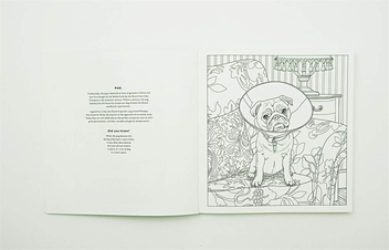 Паперова книга «All About the Dog. A Battersea Dogs & Cats Home Colouring Book» - фото №5 - мініатюра