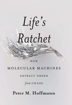 Бумажная книга «Life's Ratchet : How Molecular Machines Extract Order from Chaos», автор Питер М. Хоффманн - фото №1 - миниатюра