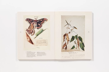 Бумажная книга «The Butterflies of North America: Titian Peale's Lost Manuscript» - фото №7 - миниатюра