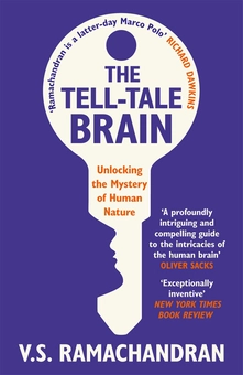 Бумажная книга «The Tell-Tale Brain. Unlocking the Mystery of Human Nature», автор Вилейанур Рамачандран - фото №1 - миниатюра