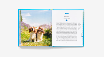 Бумажная книга «Fifty Places to Travel with Your Dog Before You Die: Dog Experts Share the World's Greatest Destinations», авторов Крис Сантелла, Ди Си Хельмут - фото №5 - миниатюра