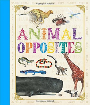 Бумажная книга «First Concept: Animal Opposites» - фото №1 - миниатюра