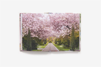 Бумажная книга «London in Bloom», автор Джорджина Лайн - фото №8 - миниатюра