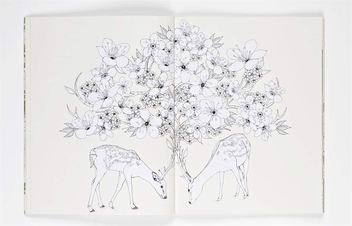 Бумажная книга «Into the Wild. An Exotic Animal Colouring Book», автор Дейзи Флетчер - фото №3 - миниатюра