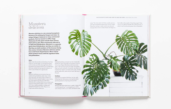 Бумажная книга «How to Raise a Plant: and Make it Love You Back», авторов Морган Доан, Эрин Хардинг - фото №11 - миниатюра