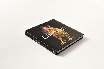 Паперова книга «Chickens», автор Ернест Го - фото №2 - мініатюра