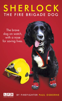 Бумажная книга «Sherlock: The Fire Brigade Dog», автор Пол Осборн - фото №1 - миниатюра