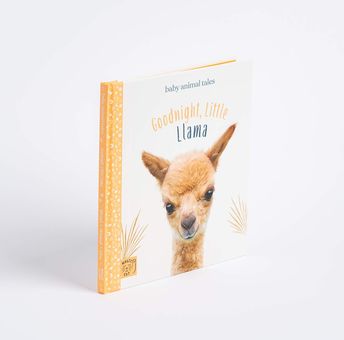 Паперова книга «Goodnight, Little Llama», автор Аманда Вуд - фото №2 - мініатюра