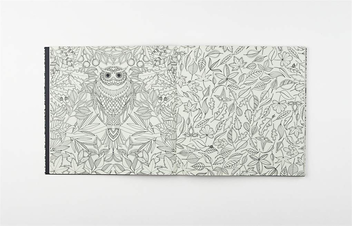 Бумажная книга «Secret Garden. An Inky Treasure Hunt and Colouring Book», автор Джоанна Басфорд - фото №5 - миниатюра