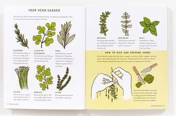 Бумажная книга «Homegrown. Illustrated Bites from Your Garden to Your Table», автор Хизер Хэрдисон - фото №5 - миниатюра