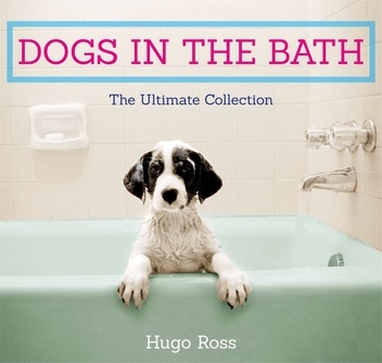 Бумажная книга «Dogs in the Bath. The Ultimate Collection», автор Хьюго Росс - фото №1 - миниатюра