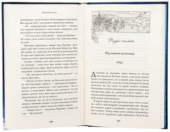 Паперова книга «Зоряний пил», автор Ніл Ґейман - фото №6 - мініатюра
