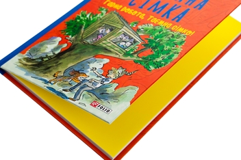 Паперова книга «Таємна сімка. Книга 3. Гарна робота, Таємна сімко!», автор Інід Блайтон - фото №4 - мініатюра