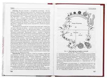 Бумажная книга «Соціально значущі та особливо небезпечні інфекційні хвороби. Навчальний посібник», авторов Екатерина Юрко, Анна Соломенник - фото №6 - миниатюра