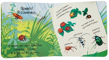 Бумажная книга «Знайомся, я комашка», автор Мария Жученко - фото №7 - миниатюра