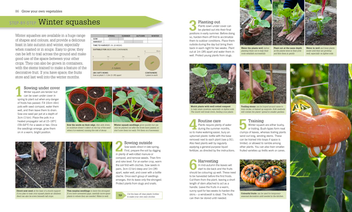Паперова книга «RHS Fruit & Veg Box. Planting and Harvesting to Cooking and Preserving» - фото №2 - мініатюра