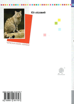 Бумажная книга «Я досліджую світ. 3 клас. Завдання для опитування. НУШ», авторов Наталья Будная, Наталия Шост, Татьяна Гладюк - фото №2 - миниатюра