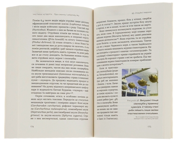 Бумажная книга «Зоологічна екскурсія супермаркетом», автор Леонид Горобец - фото №5 - миниатюра