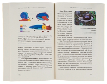Бумажная книга «Зоологічна екскурсія супермаркетом», автор Леонид Горобец - фото №6 - миниатюра