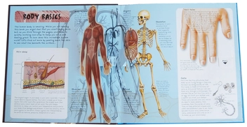Паперова книга «Pop-Up Facts. Human Body», авторів Емілі Хокінс, Сью Харріс - фото №3 - мініатюра