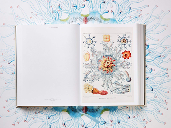 Бумажная книга «The Art and Science of Ernst Haeckel», авторов Райнер Вилльманн, Джулия Восс - фото №8 - миниатюра