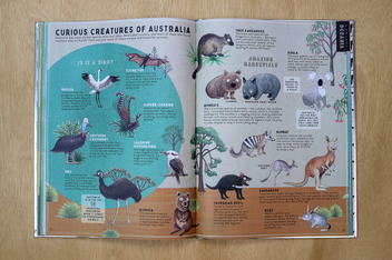 Бумажная книга «I Heart the World. A Celebration of Land, Sea, Flora, Fauna and People around the Globe», автор Таня МакКартни - фото №8 - миниатюра