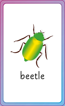 Бумажная книга «English for Everyone Junior: First Words Animals Flash Cards» - фото №5 - миниатюра