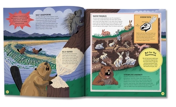 Бумажная книга «Open Wide!», автор Летиция Диаманте - фото №8 - миниатюра