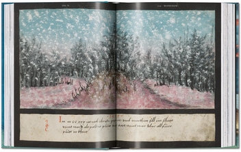 Бумажная книга «The Book of Miracles», автор Тилль-Хольгер Борхерт - фото №7 - миниатюра