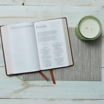 Бумажная книга «NRSV Catholic Edition Gift Bible», автор Католическое библейское издательство - фото №8 - миниатюра